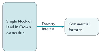 Diagram illustrating the original situation of forestry interests.