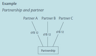 Diagram of example: Partnership and partner