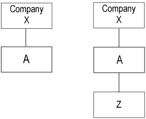 Diagram illustrating special purpose subsidary and imputation credits.