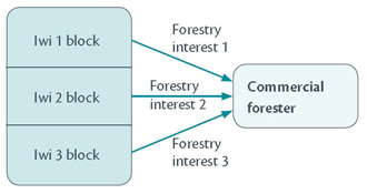 Diagram illustrating the future situation of forestry interests.